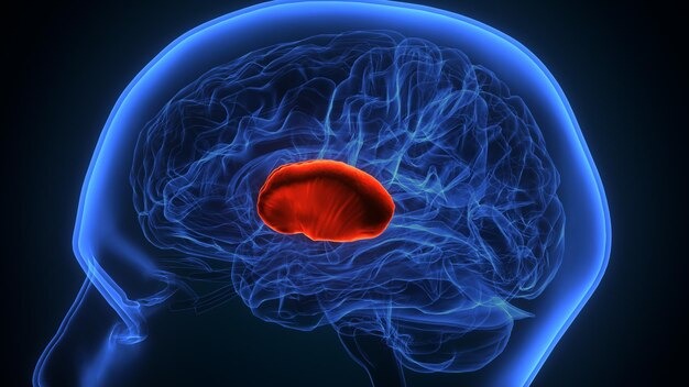 Brain Tumor
